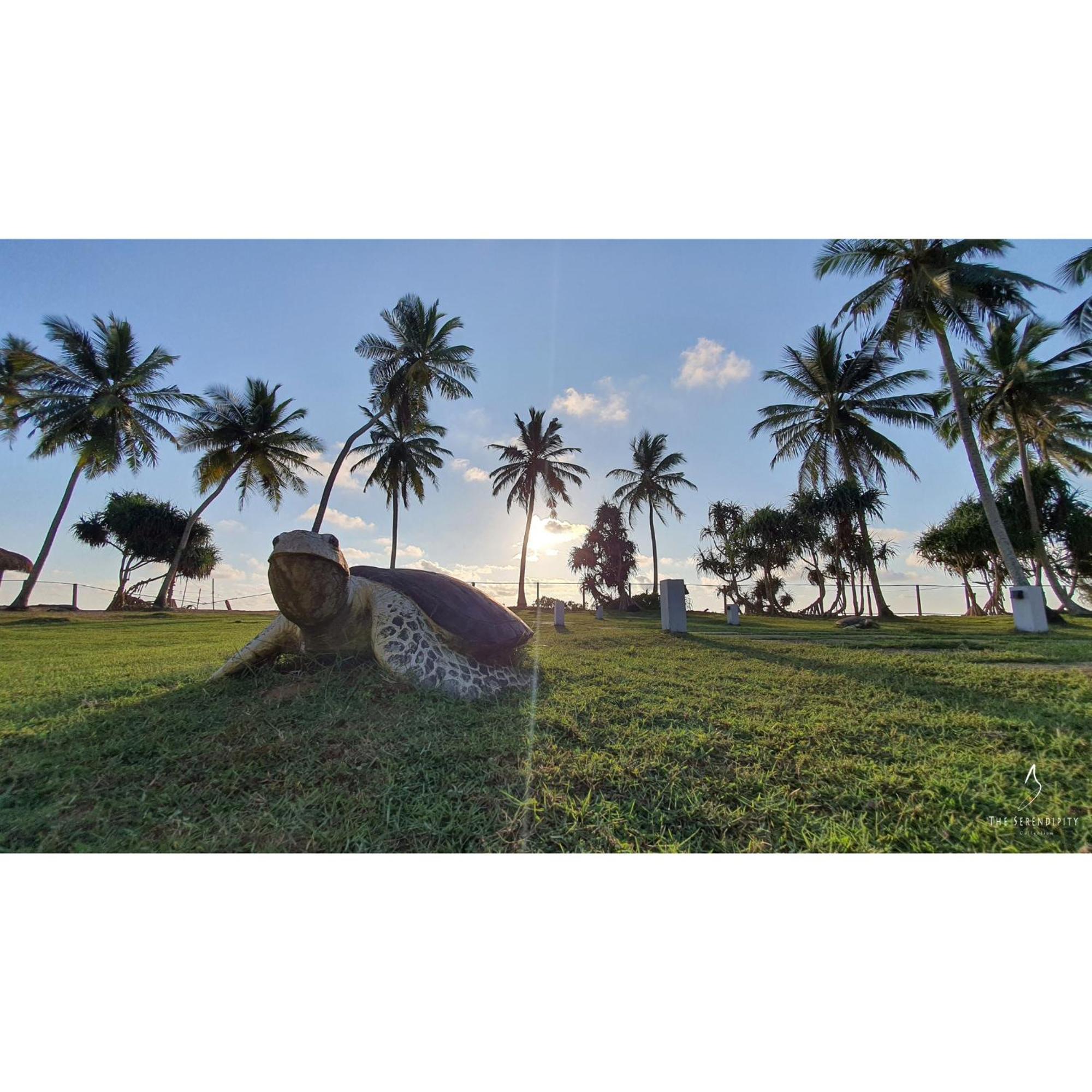 Green Turtle Villa By The Serendipity Collection Bentota Exterior photo