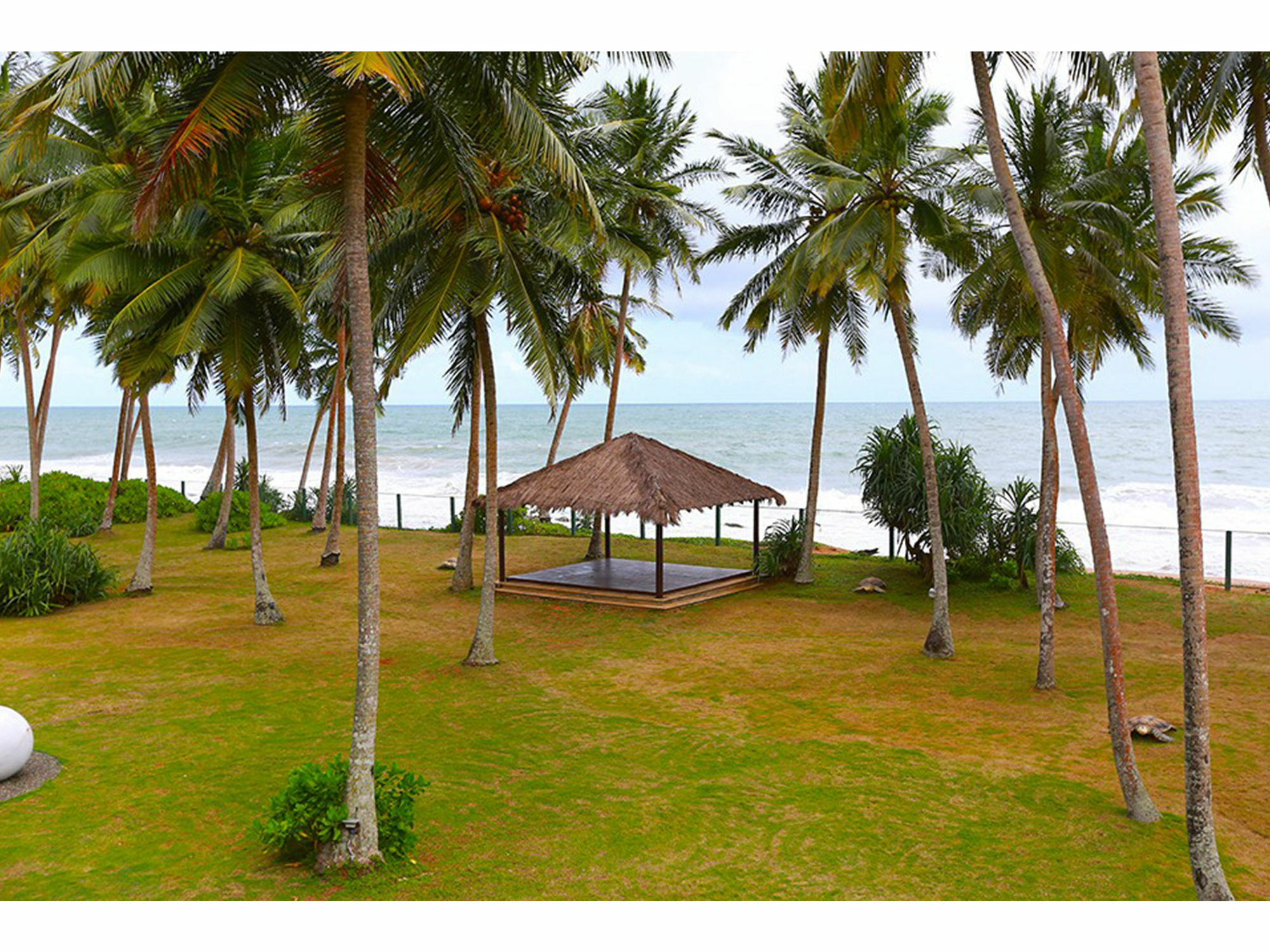 Green Turtle Villa By The Serendipity Collection Bentota Exterior photo